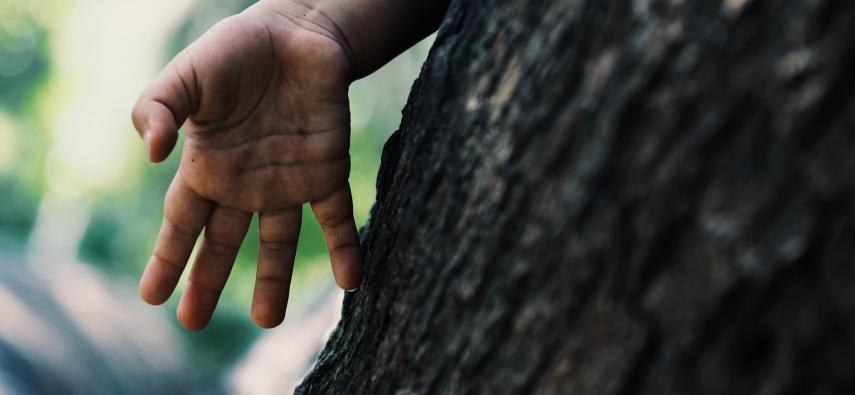 ręka dziecka za drzewem